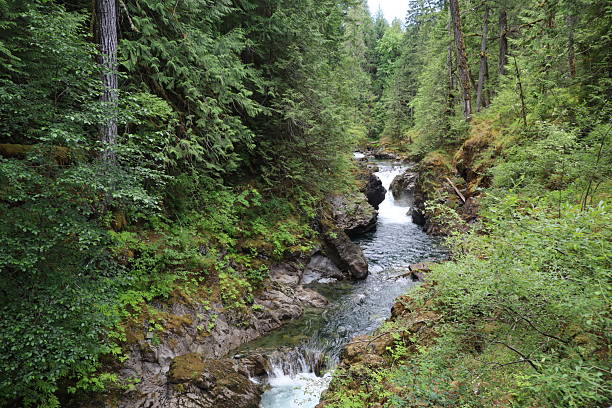 istock Little Qualicom falls, Vancouver Island, Canada 2251268462