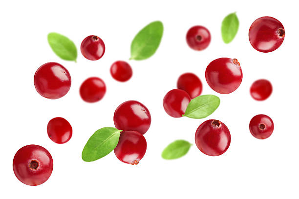 istock Fresh red cranberries and green leaves falling on white background 2251270948