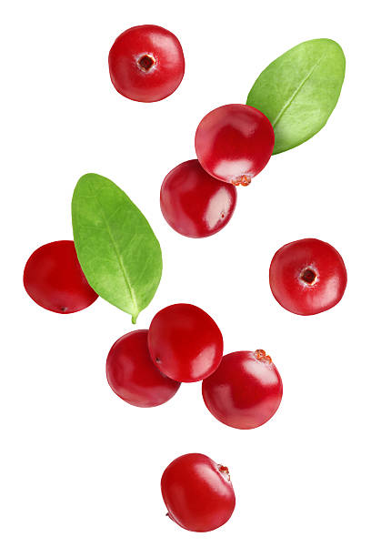 istock Fresh red cranberries and green leaves falling on white background 2251270990