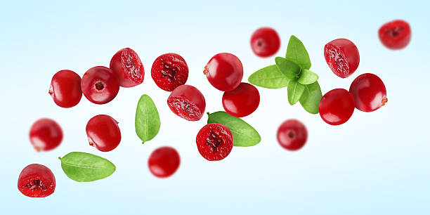 istock Fresh red cranberries and green leaves flying on light blue background 2251271011
