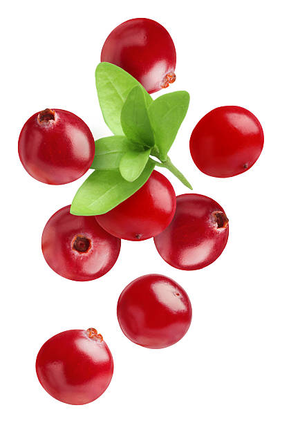 istock Fresh red cranberries and green leaves falling on white background 2251271032