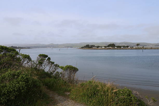 Photo of Bodega Bay in California USA