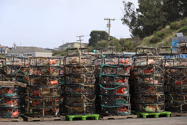 Brightly colored lobster cages sit neatly stacked along the wooden dock at Dipper Harbor Wharf. The photo captures authentic details of Atlantic Canada’s fishing traditions.
