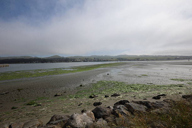 Photo of Bodega Bay in California USA