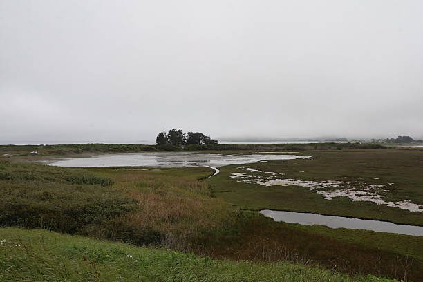 istock Bodega Bay California USA 2251272827