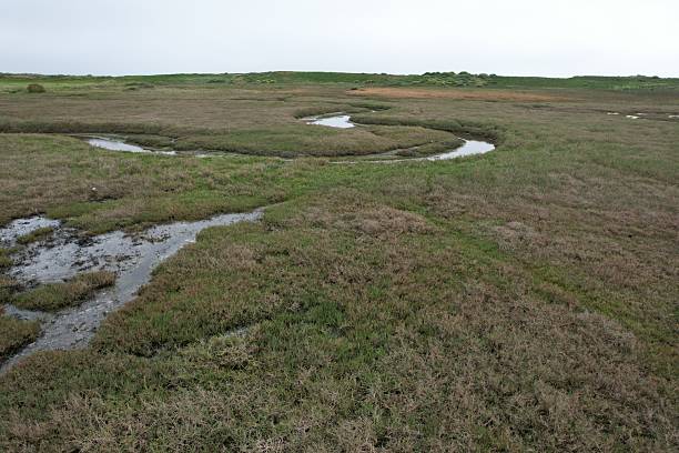 istock Bodega bay, California, USA 2251272879