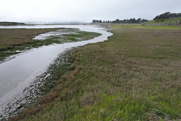 istock Bodega bay, California, USA 2251272985