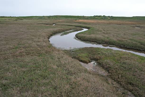 istock Bodega bay, California, USA 2251273006