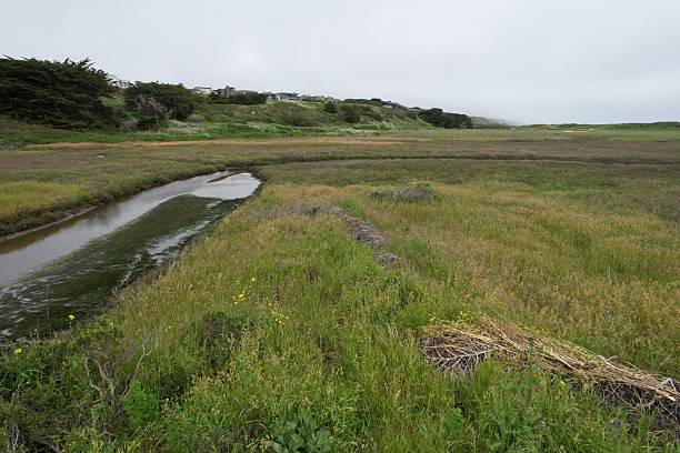 istock Bodega bay, California, USA 2251273026