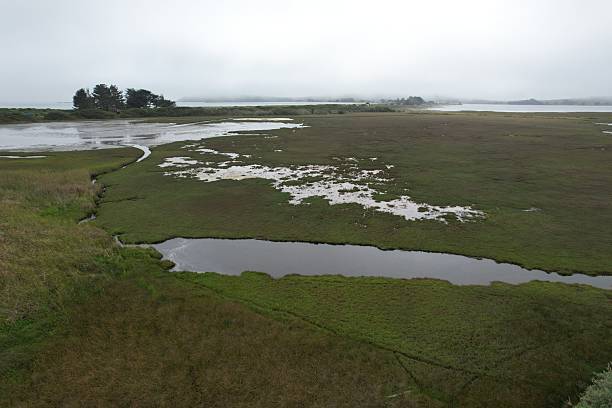 istock Bodega bay, California, USA 2251273040