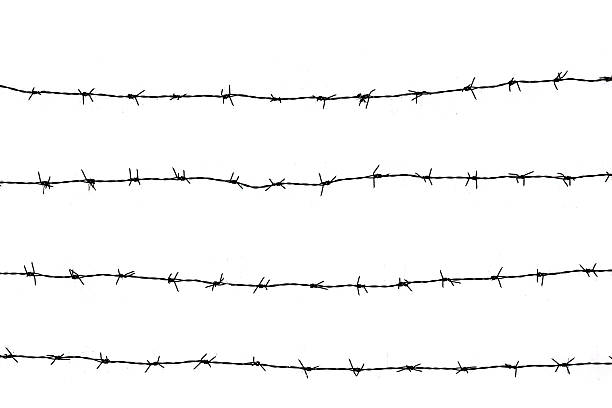 istock Barbed wire fence on white background. 2251276896