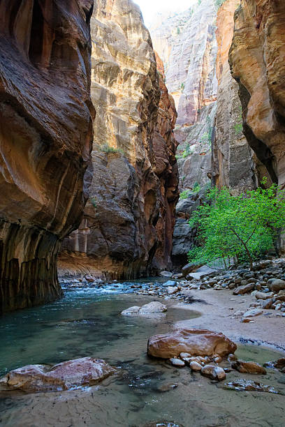 istock Zion The Narrows 2251277086
