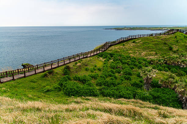 istock seaside hill and promenade 2251277207