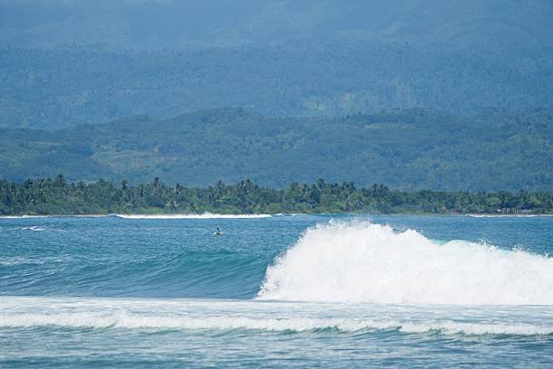 istock Solitary Takeoff on Tropical Teal Wave 2251277903