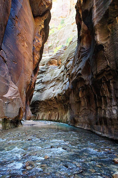 istock Zion The Narrows 2251278014