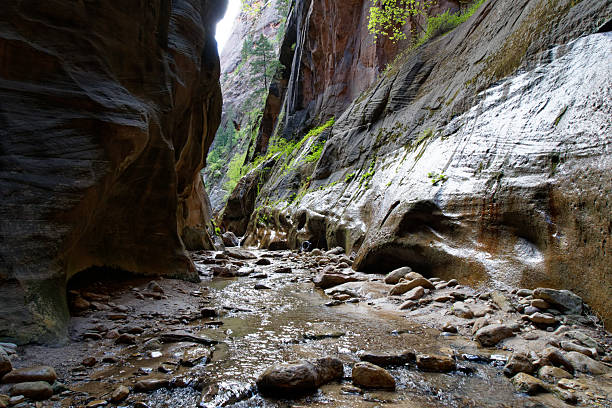 Hiking the Narrows in Zion National Park