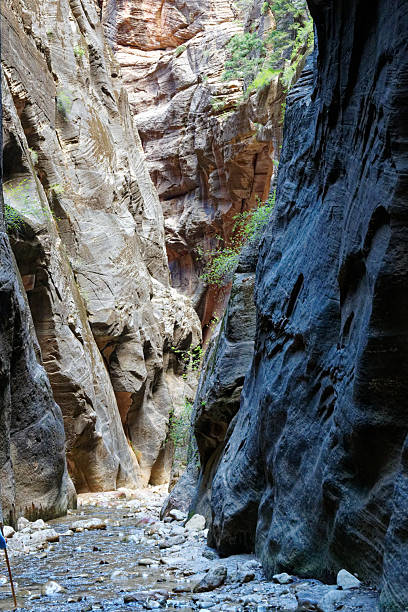 istock Zion The Narrows 2251278154