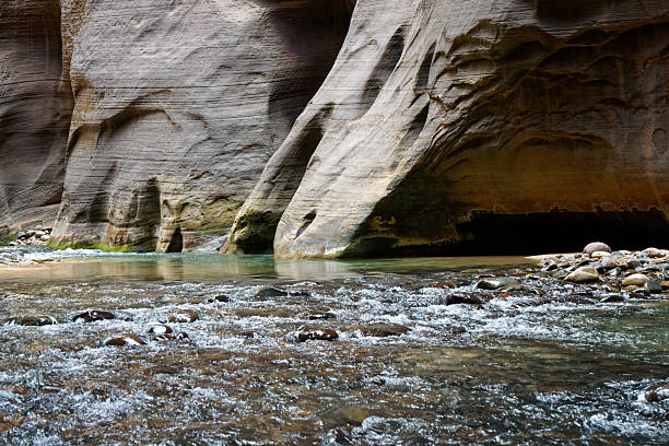 Hiking the Narrows in Zion National Park