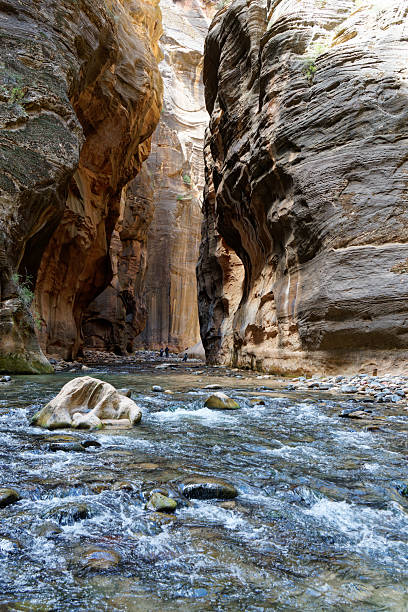 istock Zion The Narrows 2251278771