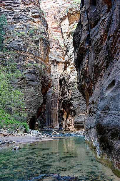 istock Zion The Narrows 2251278832