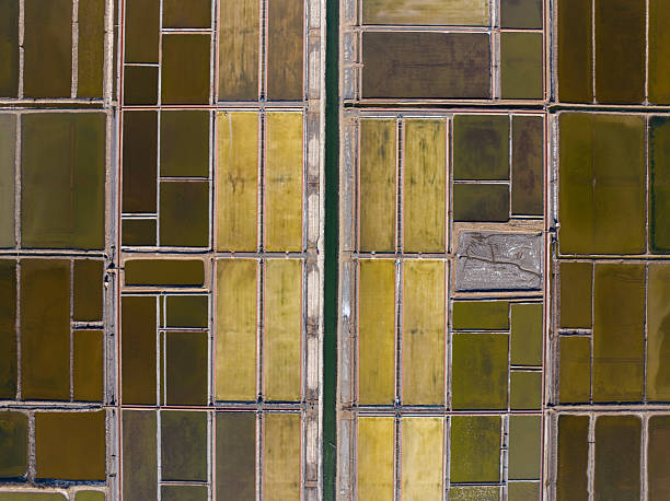 istock View of the salt field 2251280129