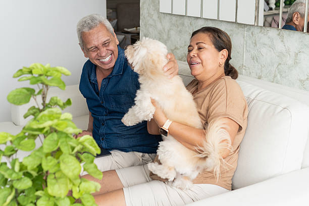 istock Senior couple sharing true love with their dog at home 2251280310