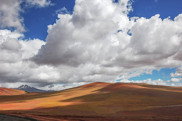 A vast landscape with varied colors under a blue sky filled with fluffy white clouds, showcasing natural beauty.