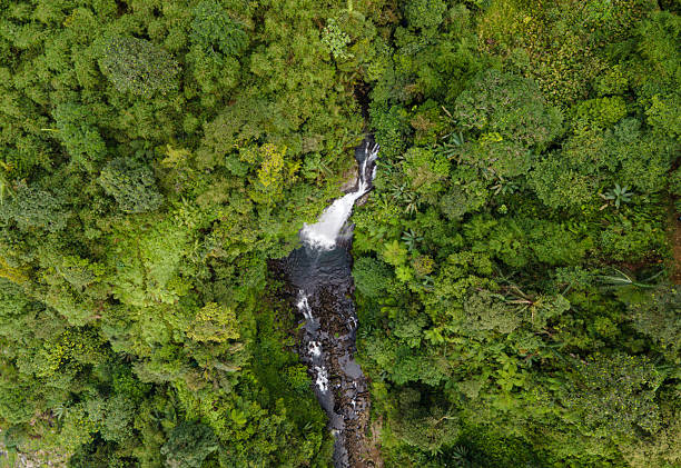istock Drone Photo of Waterfall in Dense Forest – Gomblang Waterfall from Above, Java Island, Indonesia 2251287405