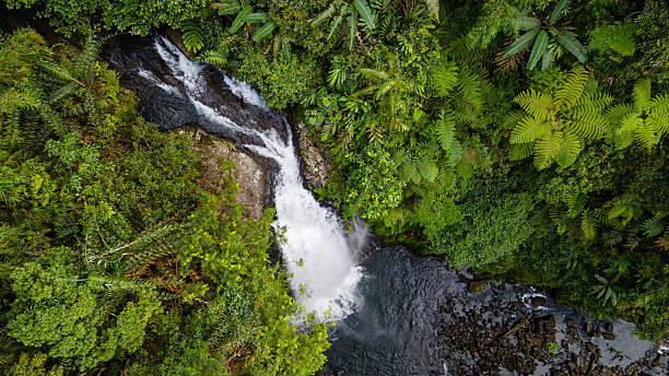 istock Drone Photo of Waterfall in Dense Forest – Gomblang Waterfall from Above, Java Island, Indonesia 2251287546