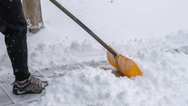 istock Individual using a yellow snow shovel to clear a snow-covered sidewalk during a heavy snowstorm, showcasing winter weather challenges and outdoor labor 2251292389