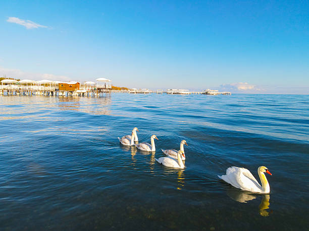 The Lake of Zurich, Switzerland.