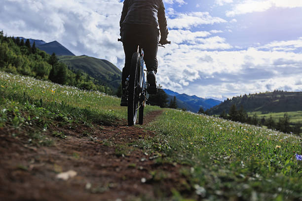 Riding mountain bike on grassland forest mountains