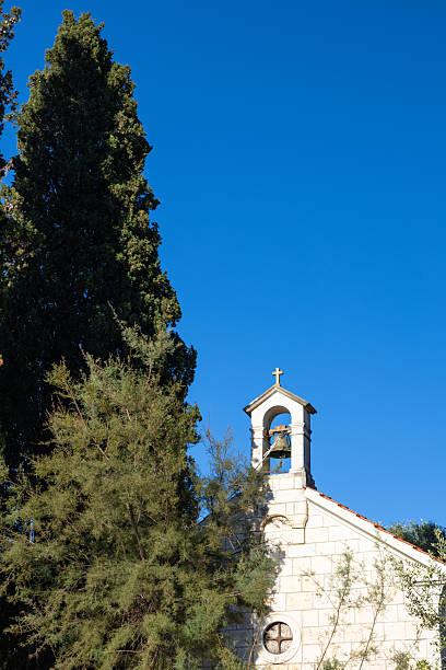 istock Peaceful Coastal Scene With Small Stone Chapel  and Tall Trees, Necujam, Solta 2251298972