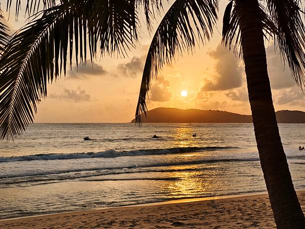 istock A tranquil beach scene during sunset features a palm tree in the foreground, gentle waves and a warm orange sky reflecting on the water. Ideal for travel, relaxation and tropical lifestyle visuals 2251300220
