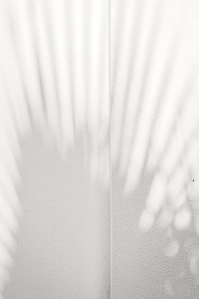 istock Soft palm leaf shadows cast on a light neutral background. Color of the Year 2026, Cloud Dancer 2251300249