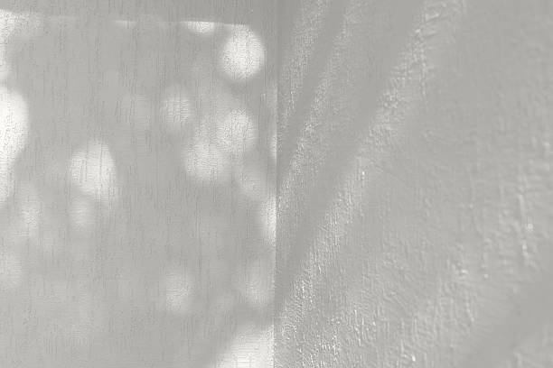 istock Light wall with shadow from trees. Cloud Dancer color trend. Color Year 2026 2251300323