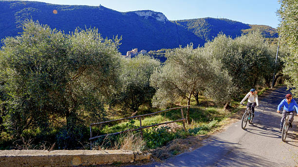 Curved terracotta wall foreground, olive trees and a cypress on a sunny slope under clear blue sky. Soft shadows, diminishing perspective. Background and copy space