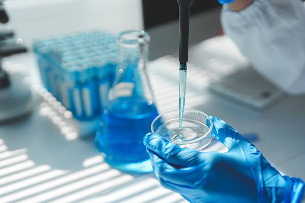 istock Gloved hands dripping blue liquid into a petri dish with a micropipette in a modern laboratory, highlighting precision in scientific research and experimentation 2251307604