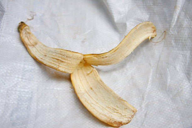 A studio close-up of a single, opened, yellow banana peel showing interior fibers and brown spots, representing ripeness and the beginning of decay. Focuses on food waste, organic decay, composting, and recycling themes against a textured white ground.