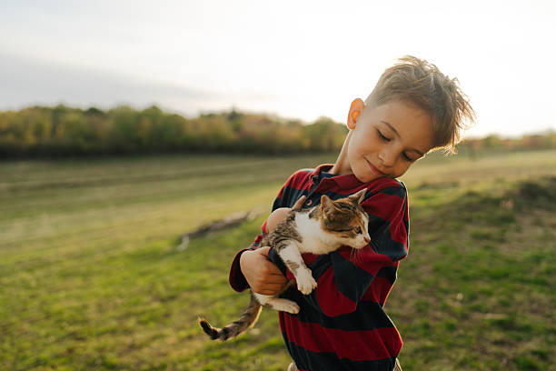 istock Cute little boy is playing with a cat 2251309589