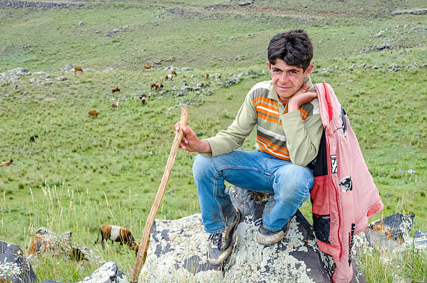 Ağrı, Türkiye - August 04, 2009: A young shepherd grazing sheep on Mount Ararat.