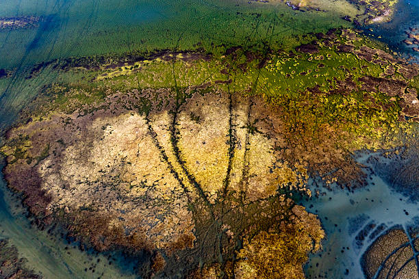istock Dangers and droughts affecting lakes,Abstract photography, backgrounds for billboards, global climate-themed photographs. The magical beauty of colors. The colors and patterns of lakes and rivers. 2251321435