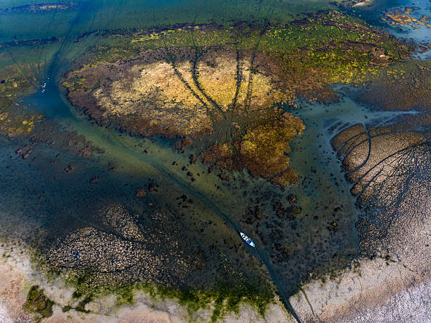 istock Dangers and droughts affecting lakes,Abstract photography, backgrounds for billboards, global climate-themed photographs. The magical beauty of colors. The colors and patterns of lakes and rivers. 2251321445