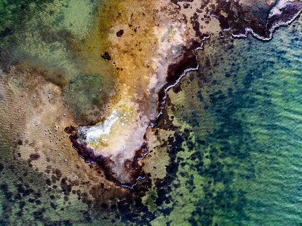 Dangers and droughts affecting lakes,Abstract photography, backgrounds for billboards, global climate-themed photographs. The magical beauty of colors. The colors and patterns of lakes and rivers.