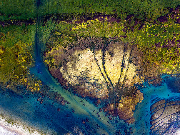 istock Dangers and droughts affecting lakes,Abstract photography, backgrounds for billboards, global climate-themed photographs. The magical beauty of colors. The colors and patterns of lakes and rivers. 2251321527