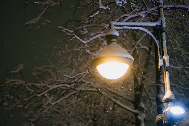 Street lamp standing covered in snow during a cold winter night, illuminating falling snowflakes and frost-covered tree branches in a serene, quiet urban scene