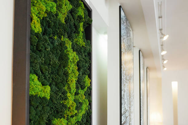 istock Green moss wall art in modern interior corridor, decorative natural installation on white wall with gallery lighting, contemporary eco-friendly design element 2251324527