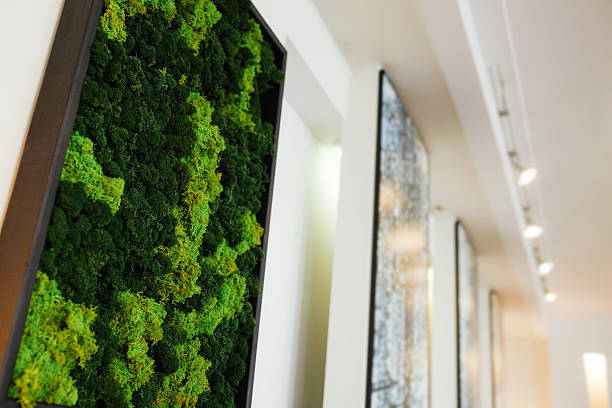 istock Green moss wall art in modern interior corridor, decorative natural installation on white wall with gallery lighting, contemporary eco-friendly design element 2251324529
