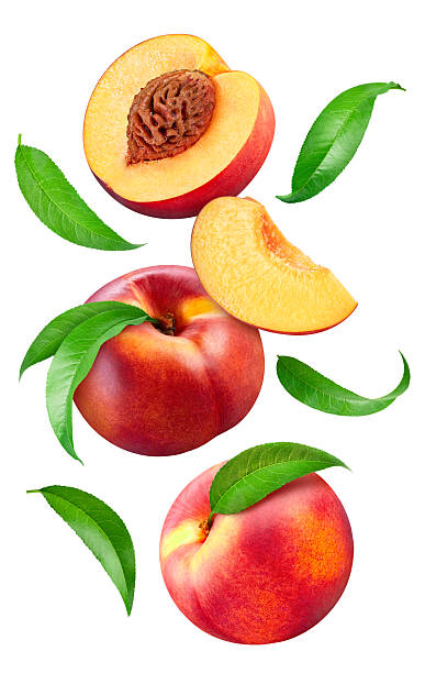 istock Fresh organic peach isolated 2251330034