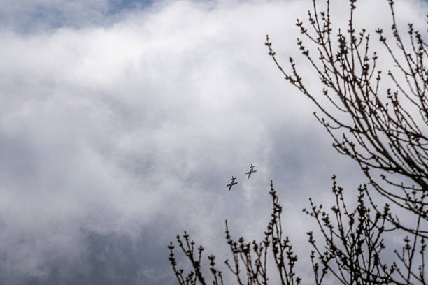 Silhouettes of two aircraft soaring in a cloudy sky, with leafless tree branches in the foreground.